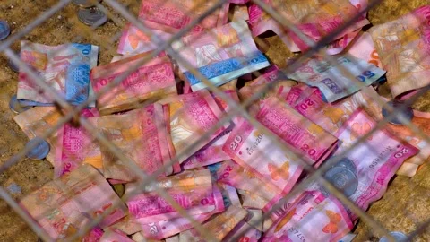 Sri Lankan currency notes and coins money held within donation box at temple in Stock Footage 336717599