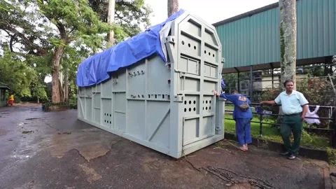 Sri Lankan, Thai authorities join forces to safely transport sick elephant home, Stock Footage 244710708