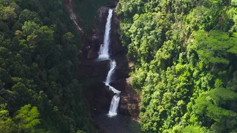 Sri Pada Falls in green forest. Maskeliya, Sri Lanka. Video stock 311743115
