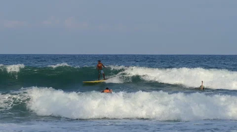 Srilankan guy wave surfing Stock Footage 62864506