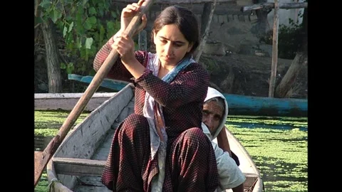 Srinagar Vidéo 310449516