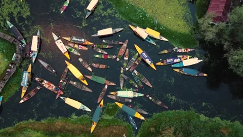 Srinagar, India-August 15 2025- Drone capture of sellers and buyers at the Stock Footage 310786115