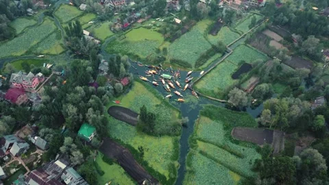Srinagar, India-August 15 2025- Aerial footage of colorful produce being sold on Stock Footage 310786120