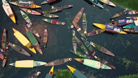 Srinagar, India-August 15 2025- Aerial footage of Dal Lake’s floating vegetable Stock Footage 310786132