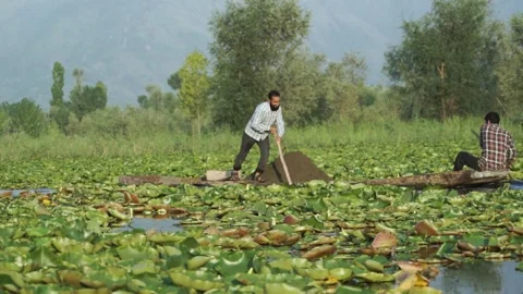 Srinagar, India – June 10th 2018:  Men on boats divide the ground in Dal Lake 스톡 동영상 285117656