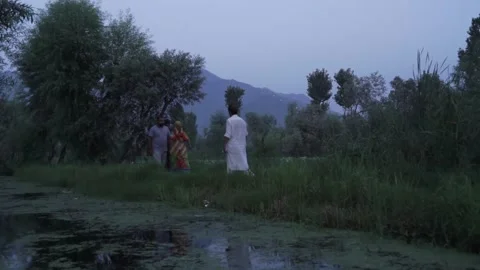 Srinagar, India - June 10th 2018:  Srinagar peaceful waterways at dawn Video stock 309287448