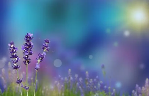 Sring Stock Illustration