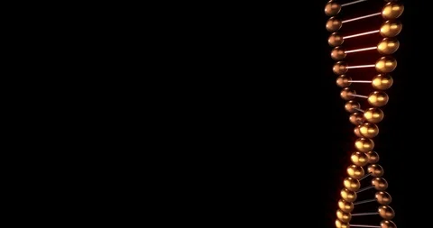 Srls of DNA molecules on black background 3D rendering loop 4k with Alpha Stock Footage 116105590