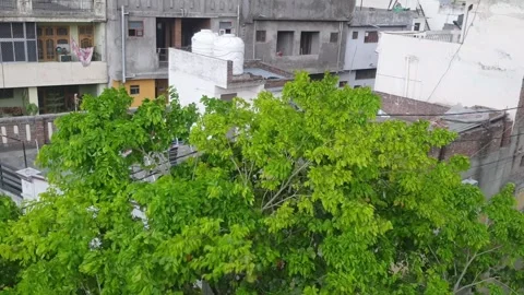 Srtong wind and rain Stock Footage 247168966