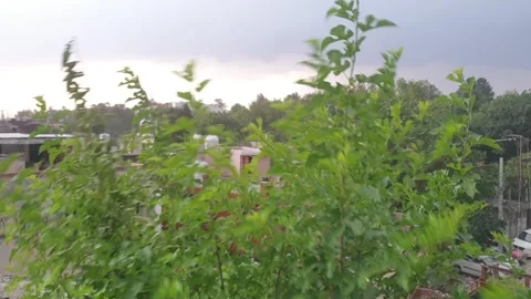 Srtong wind and rain Stock-Footage 247170041