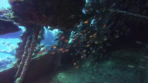 SS Carnatic Wreck Interior in Abu Nuhaz Stock-Footage 276522117