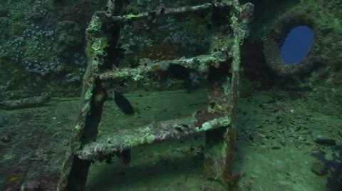 SS Thistlegorm ladders to bow section Stock Footage 572001