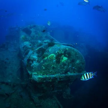 SS Thistlegorm Foto stock