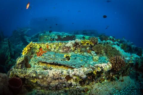 SS Thistlegorm Stock Photos