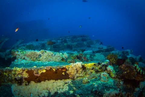 SS Thistlegorm Stock Photos