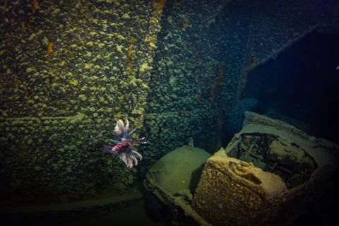 SS Thistlegorm Stock Photos