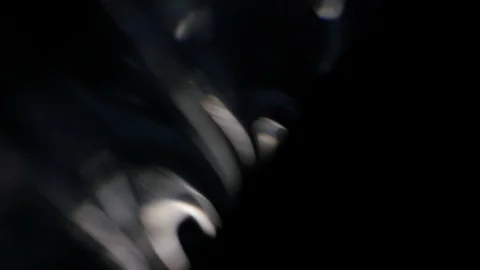 SS16 Stock Footage 116570440