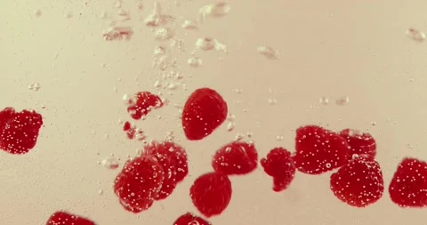 SS4 Vidéo 233006714