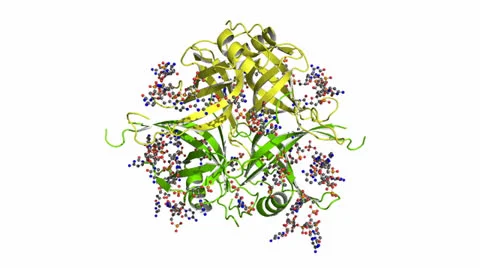 SSB protein Stock Footage 24603897