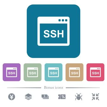 SSH client application flat icons on color rounded square backgrounds Stock Illustration
