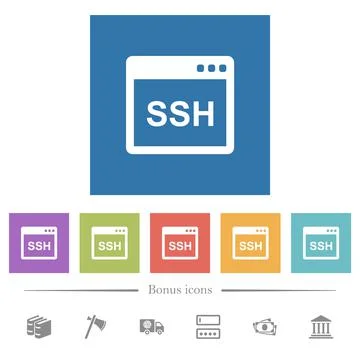 SSH client application flat white icons in square backgrounds Stock Illustration