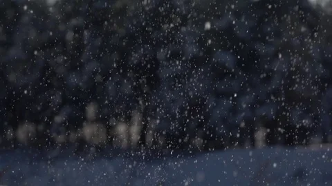 SShiny snowflakes fall on the forest background. Slow-mo footage. Stock-Footage 85367699