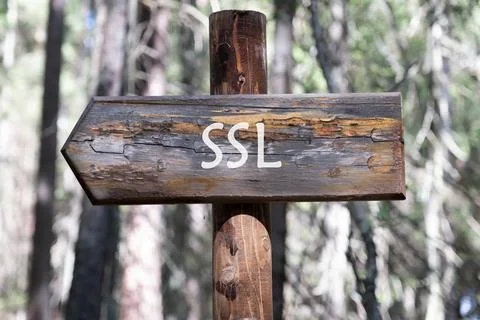 SSL Secure Sockets Layer on a wooden signpost against a forest background Fotos Stock