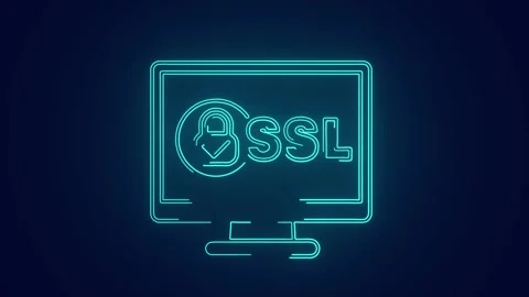 SSL secured certificate for website protection and safety animation Stock Footage 241162182
