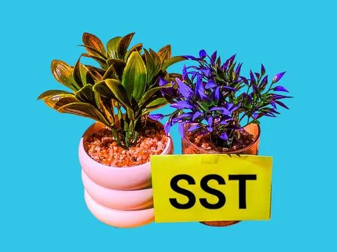 Sst concept with artificial trees and words 스톡 사진