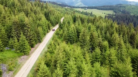 SSV Driving Fast On Trail in Forest Stock Footage 198739183