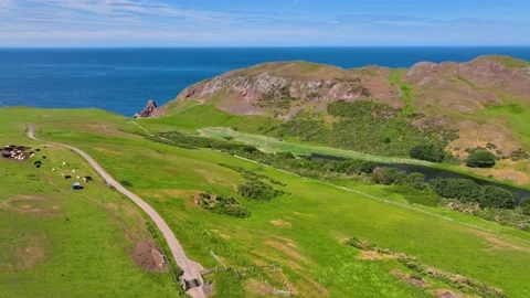 St Abbs Head aerial view, Edinburgh, UK Stock Footage 228759999