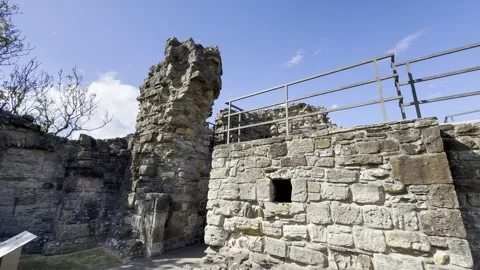 St Andrews Castle Stock Footage 310914363