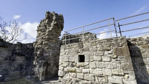 St Andrews Castle Stock Footage 310914379