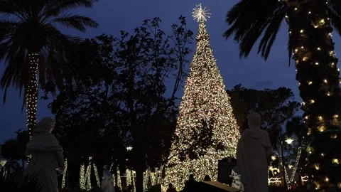 St. Armands Circle CHRISTMAS TREE Stock Footage 295958709