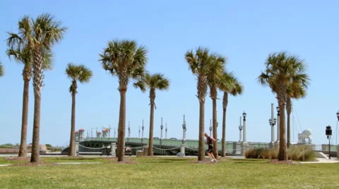 St. Augustine Bridge of Lions with Traffic, Palm Trees, and Jogger Video stock 41687347