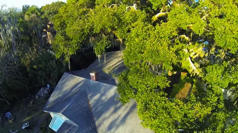 St. Augustine, FL: large tree flyover [Aerial] Stock Footage 37746282