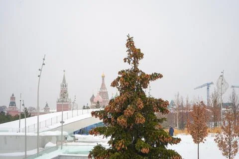 St. Basil’s Cathedral on Red Square in Moscow in winter Foto stock