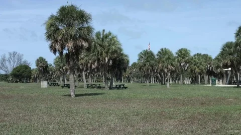 St Beach Coastline Stock Footage 71130629