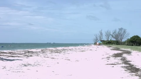 St Beach Coastline Stock Footage 71130810