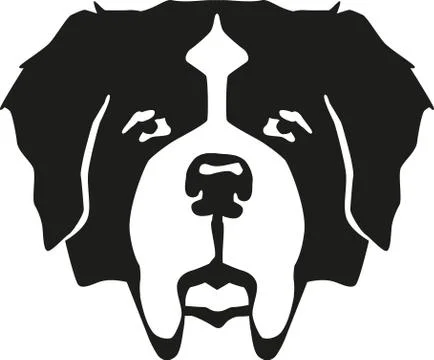St. Bernard dog head Stock Illustration
