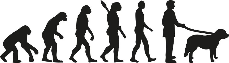 St. Bernard evolution Stockillustratie