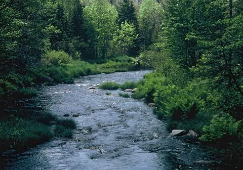 The St Croix River Foto stock