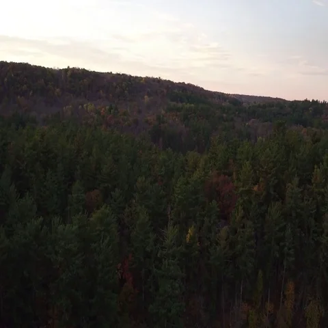 St Croix Valley Fall River Looking Toward Sunrise Stock-Footage 69528737