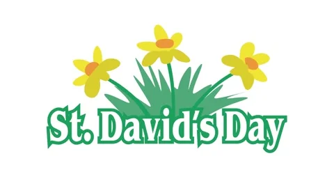 St Davids Day Stock Footage 307087467