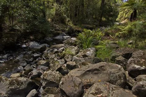 St George River at Phantom Falls at Lorne, Victoria, Australia Stock-Fotos