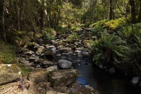 St George River at Phantom Falls at Lorne, Victoria, Australia Stock Photos