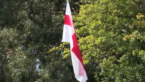 St George's Flag In The Wind Stock Footage 79774721