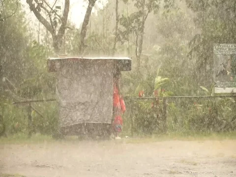 St Georges / Grenada - Nov 2016: heavy rain on Caribbean Island Grenada. Stock Footage 103456343