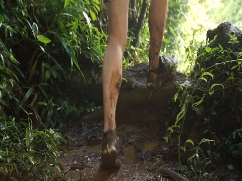 St Georges / Grenada - Nov2016: Man hiking through the mud in Grenada. Stock Footage 103456300