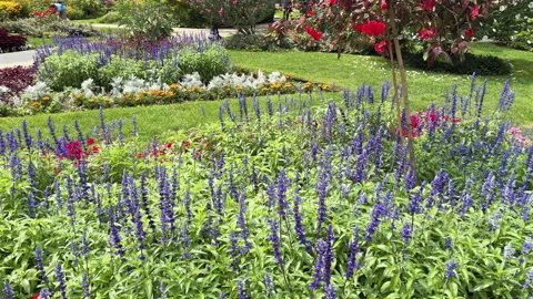 St. James Park Gardens and People Stock Footage 281164468